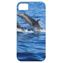 Playful Dolphins iPhone 5 Cover