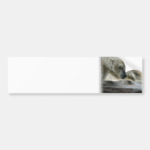 Playful Polar Bear Bumper Sticker