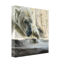 Playful Polar Bear Canvas Print