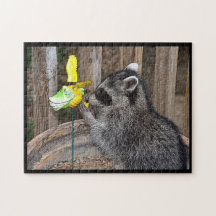 Playful Racoon Puzzle