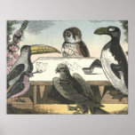 Playing Cards Poster