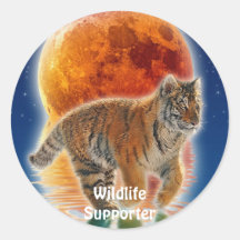 Playing Tiger Cub Big Cat Fantasy Stickers