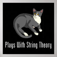 Plays With String Theory Poster