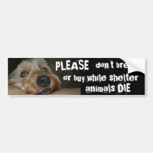 Please Dont Breed Or Buy While Shelter Animals Die Bumper Stickers