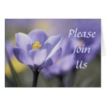 Please Join Us invitation cards