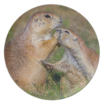 Please Stop Talking Plates