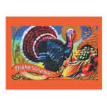 Plentiful Thanksgiving Postcards
