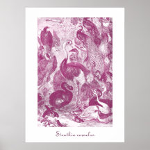 Plum Vintage Ostrich Illustration Struthio camelus Print