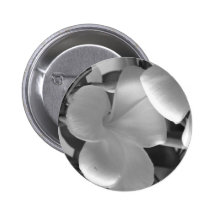 Plumeria Flowers in Black and White Pin