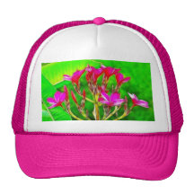 Plumeria Flowers Trucker Hat