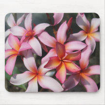 Plumeria Frangipani Covering Mousepad