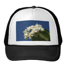 Plumeria Mesh Hat