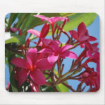 Plumeria Mouse Pad