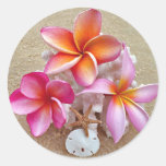 Plumeria on Shells on Beach Round Sticker