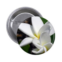 Plumeria Pair Pin