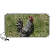 Plymouth Rock Chicken iPhone Speaker
