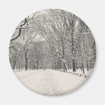 Poet's Walk - Central Park Winter Fridge Magnets