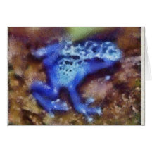 Poison Dart Frog Card
