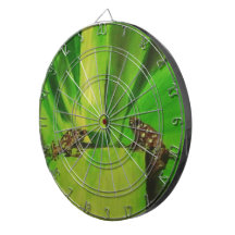 Poison Dart Frog Dartboard With Darts