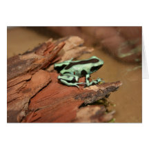 poison dart frog greeting card