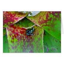 Poison Dart Frog Greeting Cards