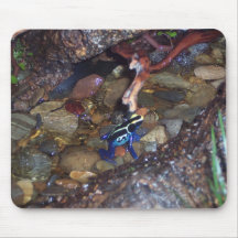 Poison dart frog mousepad