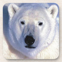Polar Bear Coaster