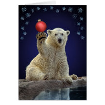 Polar Bear Cub Holiday Card
