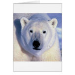Polar Bear Greeting Card