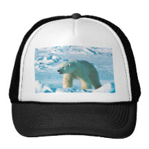 Polar Bear Hat