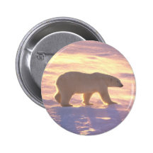 Polar Bear Morn 3 Buttons