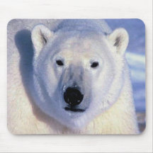 Polar Bear Mousepads