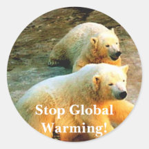 Polar Bear Photo. Stop Global Warming! Round Sticker
