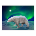 Polar Bear Postcards