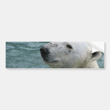 Polar Bear Profile Bumper Stickers