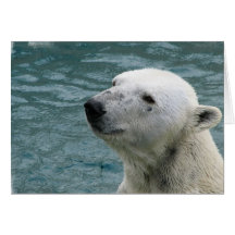 Polar Bear Profile Greeting Card