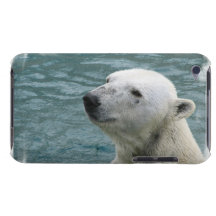 Polar Bear Profile iTouch Case iPod Touch Case