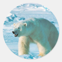 Polar Bear Round Sticker