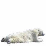 POLAR BEAR (sculpted) Wildlife Gift Item Photo Sculptures