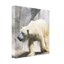 Polar Bear Strut Canvas Print
