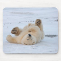 polar bear, Ursus maritimus, cub rolling 3 Mouse Pads