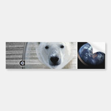 polar bears earth bumper sticker
