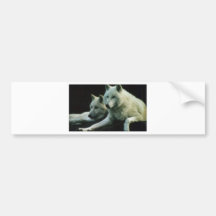 Polar Wolf Bumper Sticker