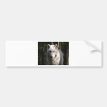 Polar Wolf Bumper Stickers