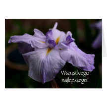 Polish Birthday Sto Lat Iris Flower Card
