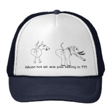 Political Cartoon Hats
