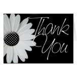Polka Dot Daisy • Thank You Card