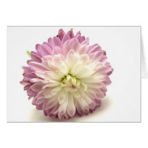 pom pom greeting card