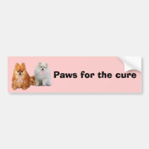 Pomeranian Breast Cancer Bumper Sticker