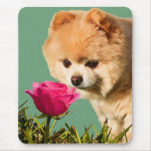 Pomeranian Dog and Rose Mousepad